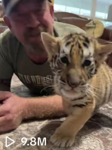 A man lying on the floor next to Cash Tiger, from a viral video with 9.8 million views